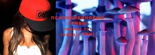 крисы Володарск