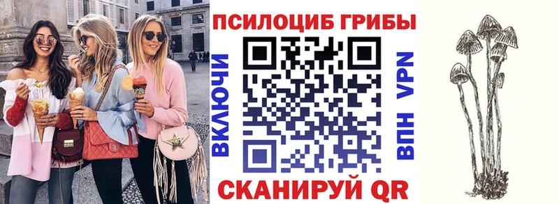 blacksprut зеркало  что такое   Партизанск  Галлюциногенные грибы GOLDEN TEACHER 